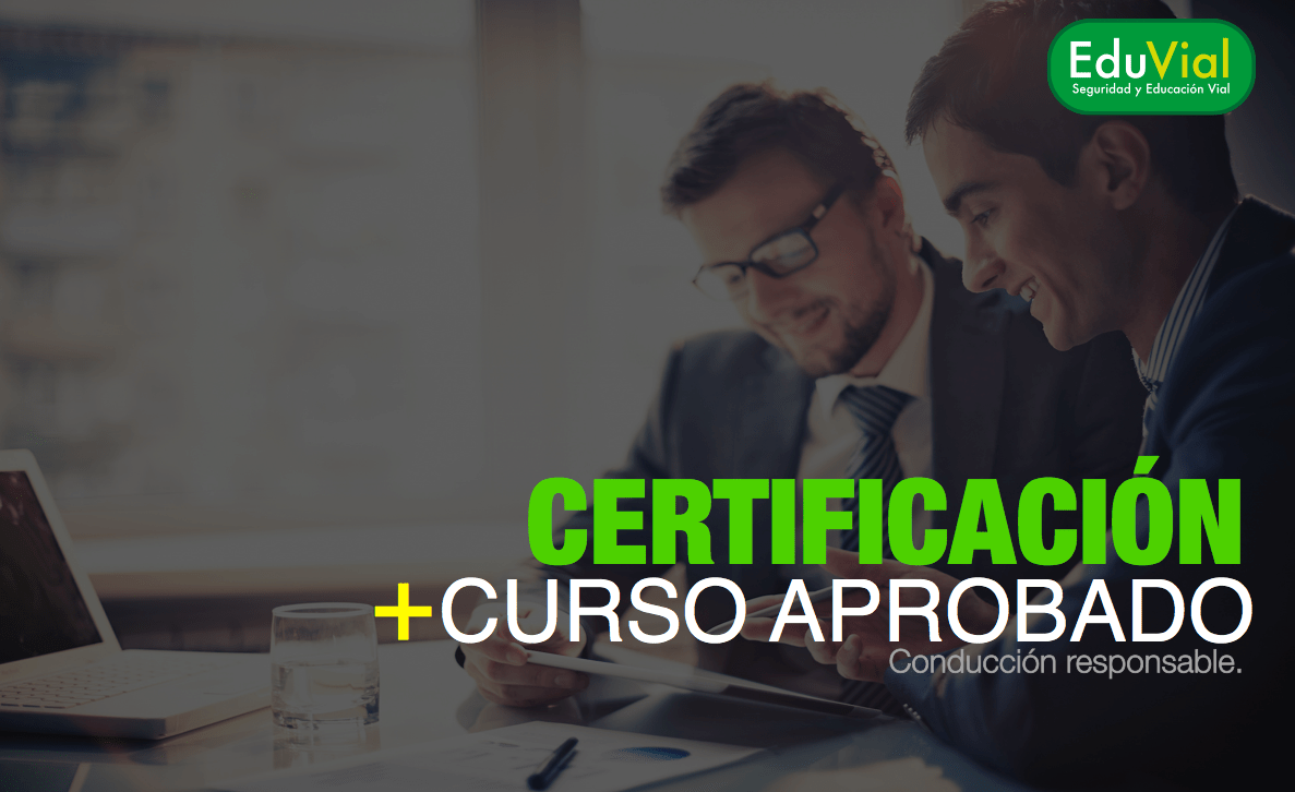 Simulador de Conducción de Automóviles y Vehículos de Carga Pesada para Capacitación y Evaluación de Conductores.