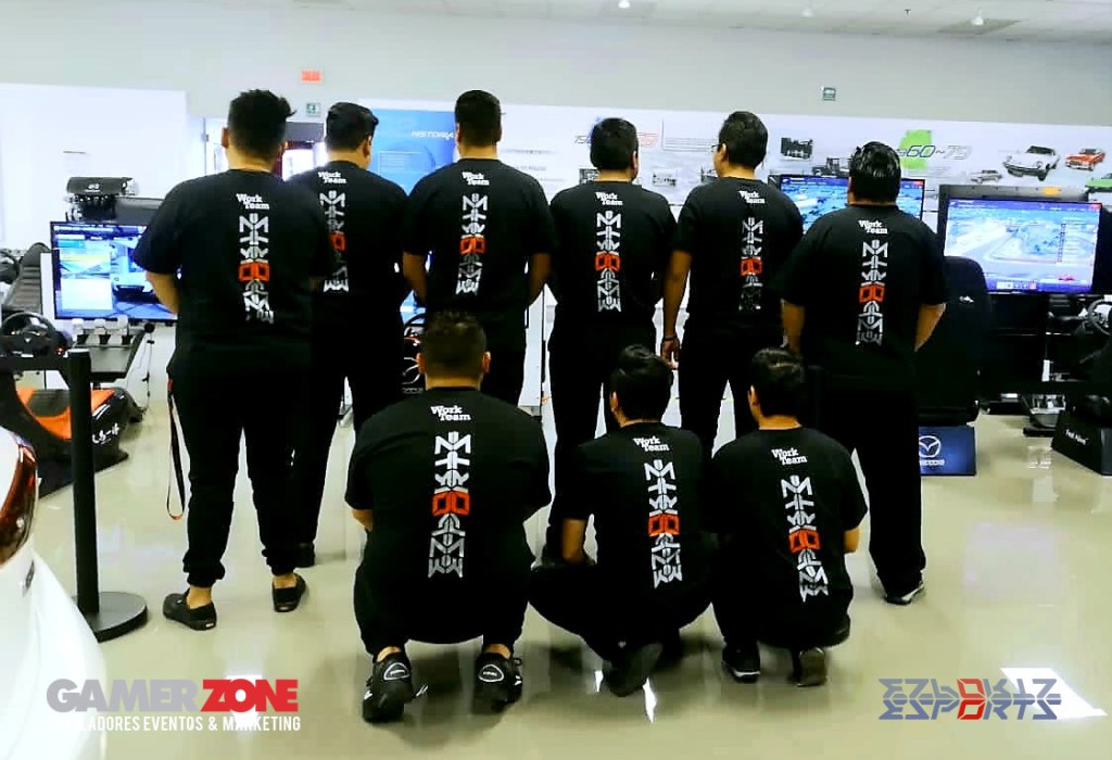 Simuladores gamer zone